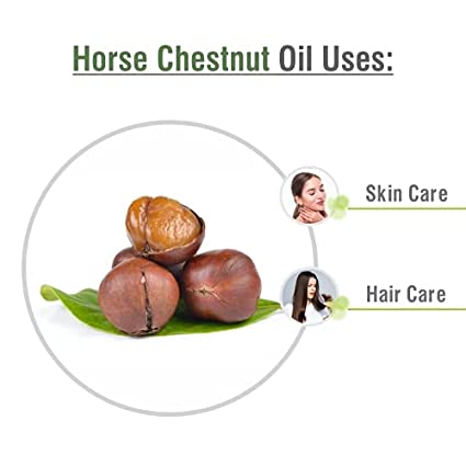 Horse Chestnut Essential Oil